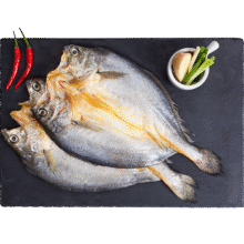 海名威宁德三去黄鱼鲞380g/2条 大黄鱼 烧烤食材 生鲜鱼类55.64元（合13.91元/件）