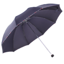 天堂 双人晴雨伞三折 遮阳伞10骨加大加固抗风易甩干大伞 3311深藏青39.9元 (月销2000+)