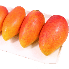 微信小程序、PLUS会员:  京鲜生 海南贵妃芒 中果净重4.5斤装 单果100g-150g8.7元包邮（需领券）