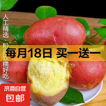 内蒙 红皮土豆 黄心土豆 2斤 单果150g+0.9元