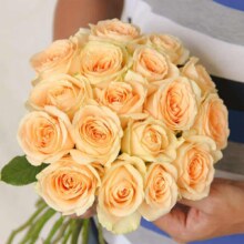 需首购：云南鲜花 玫瑰百合鲜切花 10枝 香槟色7.9元（需领券）