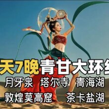 美团 【单人】西北青海甘肃旅游大环线8天7晚品质游原价6000，现价1600