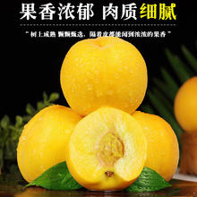 黄金蜜桃 净重4.5斤券后59元