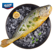 海名威 鲜冻黄花鱼 600g18.74元
