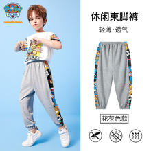 Paw Patrol 汪汪队立大功 212PK512 儿童休闲束脚裤