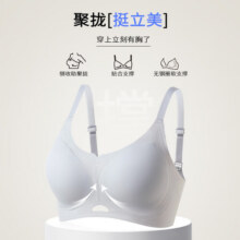 都市丽人内衣女小胸聚拢显大无痕上托提拉防下垂收副乳简约光面文胸罩 浅兰 L 36/80ABC 建议体重105-120斤79元 (券后省114,月销1000+)