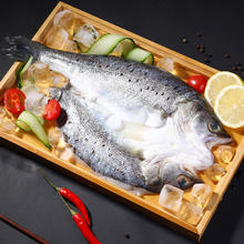 鲜到鲜得 三去白蕉海鲈鱼450g （去鳞去腮去内脏）12.42元（需买4件，需用券）