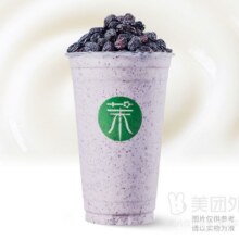 茉酸奶 【必囤】黑加仑葡萄干酸奶奶昔兑换券原价25元，现价13.9元