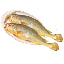 黄小渔宁德三去黄花鱼600g/4条 大黄鱼生鲜海鲜水产深海鱼类烧烤食材80.7元（需领券，合26.9元/件）