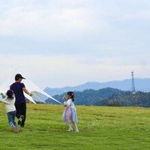 马岭观花植物园【成人票】门票79.9元