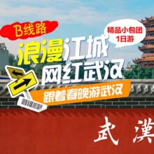 美团 网红武汉 黄鹤楼红墙、粮道街、古德寺、黎黄陂路、江滩一日游原价321元，现价143元