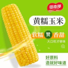 吉林省农投旗下品牌！田本部 黄糯玉米 250~300g*8棒￥16.11 3.8折