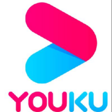 优酷会员 vip 12个月年卡69元（需领券）