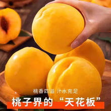 正宗山东蒙阴黄桃黄金蜜桃2.5斤（4-7个）特大果18.5元（需买2件，需用券）