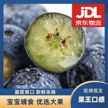 SHINE GRACE 新鲜高山蓝莓鲜果现摘当季孕妇宝宝应季水果送礼整箱券后19.9元