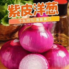 花慕辰紫皮洋葱脆甜不辣新鲜蔬菜当季水果洋葱甜味生吃产地直发 优选水果洋葱 4.25斤 净 重4.25斤20.9元（需领券，合10.45元/件）