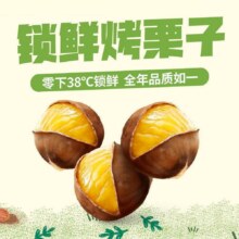 美团 薛记炒货 锁鲜烤栗子250g 多店可用原价14.9元 现价12.9元