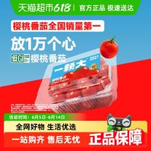 88VIP会员：一颗大 水果红樱桃番茄458克 礼盒装5.8元（需买4件，需用券）