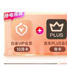 爱奇艺 白金VIP会员年卡10个月白金年卡 支持电视端+京东年卡198元（需领券）