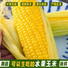 树悦 明星推荐云南水果玉米4-4.5斤券后9.9元
