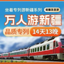 美团 坐着火车专列游新疆 14天南北疆专列 空调车拼团14天13晚多日游原价15395元 现价3935元