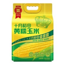 十月稻田黄糯玉米白黑糯玉米棒低脂粘糯早餐代餐东北玉米19.9元