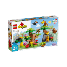 乐高（LEGO）积木得宝10973 南美洲野生动物大颗粒积木桌儿童玩具儿童节礼物499元