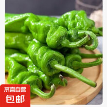 山东新鲜螺丝椒辣椒自营即食皮薄微辣特辣尖椒陇椒 3斤普通装 3斤5元（需领券）