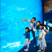 成人香港海洋公园1日门票2张+1晚富丽敦海洋公园酒店海景房套餐1728元