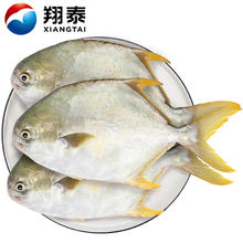 翔泰 海南深海金鲳鱼2.4斤/3-4条净重25.98元（需买2件，需用券）
