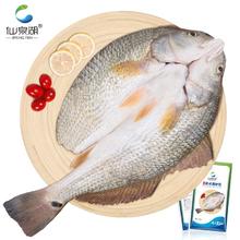 仙泉湖 斑点尾鲈鱼 500g12.89元（需买3件，需用券）