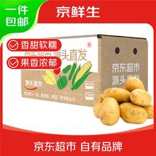 京百味 山东新鲜小土豆 净重2.25kg 新鲜蔬菜 黄心马铃薯 源头直发2.85元