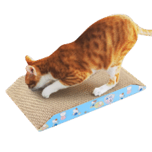 憨憨乐园 猫猫抓板磨爪器猫磨爪板猫爪板瓦楞纸猫窝猫玩具猫咪用品10.9元 (券后省20,月销1000+)
