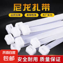 【国标足数】尼龙扎带3*100型白色易拉捆绑带塑料扎带束线带自锁 国标2.5*100【50条】2元