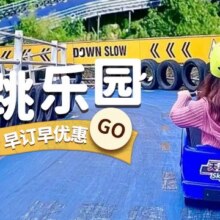 美团 桐庐【双人1晚一票畅玩】OMG心跳乐园+妙笔酒店双早原价1497元现价980元