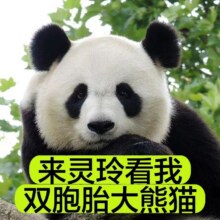 美团【臻享厦门2天+1成人+纯玩0购物】+鼓浪屿+灵玲动物王国+赶海摸鱼抓蟹+曾厝垵+接送原价929.1元 现价138元