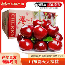 杞农优食 山东大樱桃 国产车厘子 带箱5斤 23-26mm 精品果现货券后49.9元