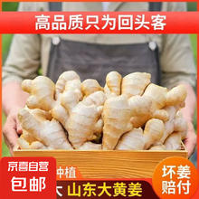 京喜 山东新鲜大姜超市生鲜蔬菜老姜即食水果生姜水洗净姜 山东大姜净重 1斤1.61元