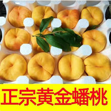 特大果 山东蒙阴 黄金毛蟠桃 2.5斤 4-7个20.38元（需买2件，需用券）