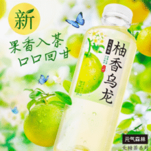 0糖轻负担！元气森林无糖冷泡茶柚香乌龙500ml*15瓶￥53.70 5.4折 比上一次爆料降低 ￥1.08