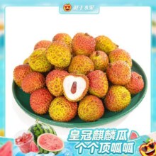 美团到店 鲜丰水果 【核小肉厚】A级火山口（妃子笑）荔枝1斤-15080-1 全国121城1499家门店可用原价19.9元  现价7.72元