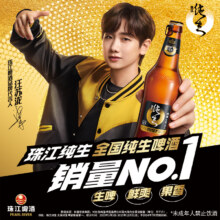 珠江啤酒 97经典纯生啤酒 528mL*12瓶新低50元包邮