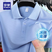 罗蒙 冰丝凉感短袖T恤男夏季中青年商务休闲百搭 冰蓝29.9元
