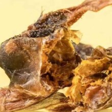 狗狗零食 鹌鹑冻干生骨肉磨牙洁齿 通用训练 【约50只】鹌鹑冻干共50g3.78元（需领券，合1.89元/件）