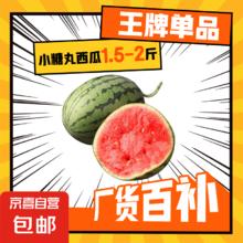 全美 小糖丸西瓜 1.5斤-2斤3元