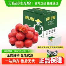 绿行者 GREER 小粉番茄蔬菜西红柿2.5kg券后15.4元