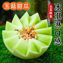 泽华果品 山东冰淇淋玉菇甜瓜 应季新鲜水果整箱 4.5斤 -5斤2-3个 山东玉菇甜瓜券后11.9元