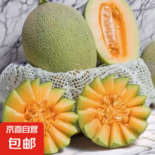 正宗山东哈密瓜晓蜜17新鲜现摘当季水果甜瓜 8-9斤14.02元（需领券）
