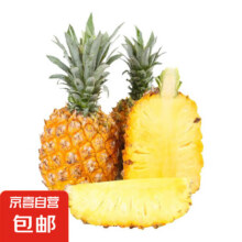 广东香水菠萝  净重3斤装 单果500g+4.97元（需领券）