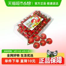 88VIP会员：知翠红散串樱桃番茄2斤家庭装券后16.16元